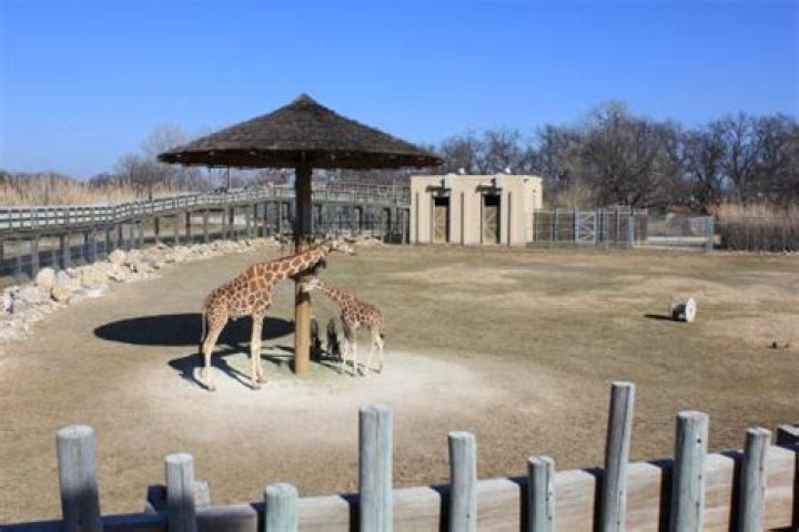 Discover the Wonders of the Gainesville Zoo