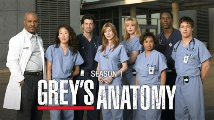 Exploring the First Season of Grey's Anatomy: A Comprehensive Guide
