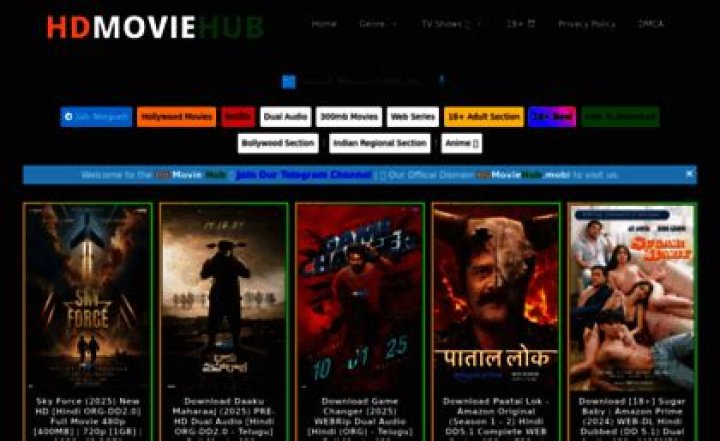 Discovering HD Movie Hub 300MB: Your Gateway to Quality Cinema