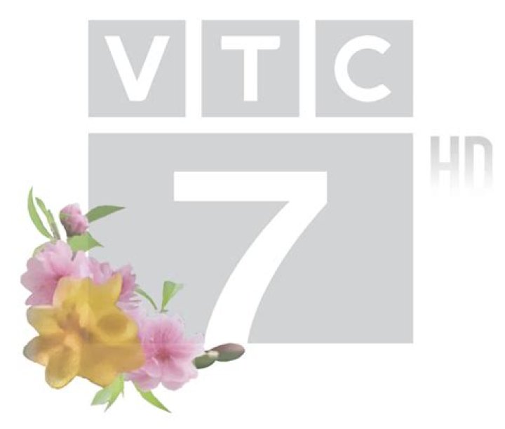 Discovering the World of HD TodayTV: A Comprehensive Guide