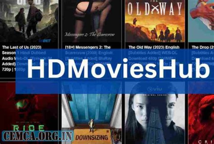HDMoviesHub.in 2024: The Ultimate Guide to Streaming Movies Online