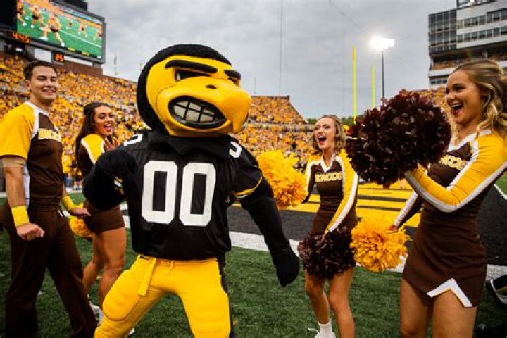 Discovering the Legacy of Herky the Hawk