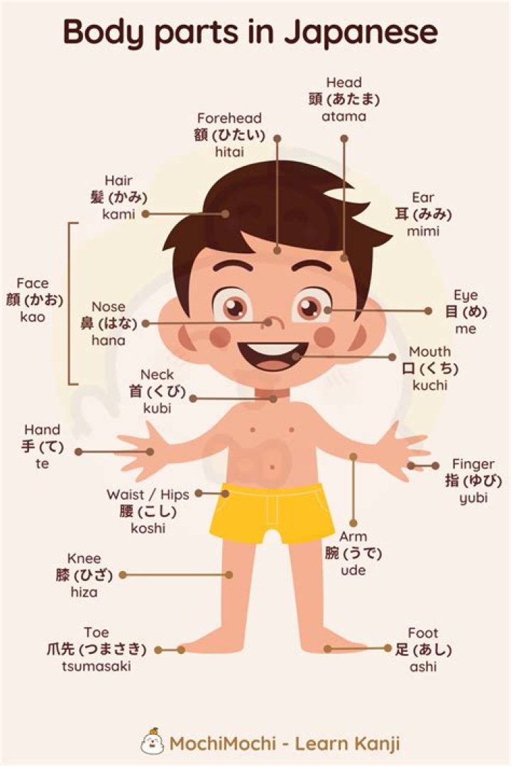 Hi in Nihongo: Understanding the Japanese Greeting