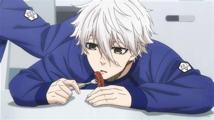 Hikaru Nagi Age: Unveiling the Rising Star of Anime and Voice Acting