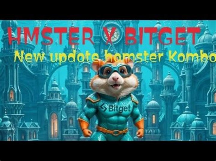 Unleashing the Power of HMster X: Your Ultimate Guide