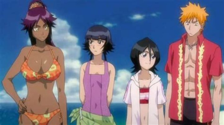 How Many Episodes of Bleach: A Comprehensive Guide