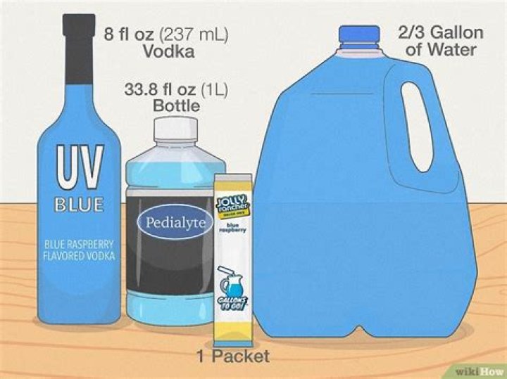 How to Make a Borg: The Ultimate Guide