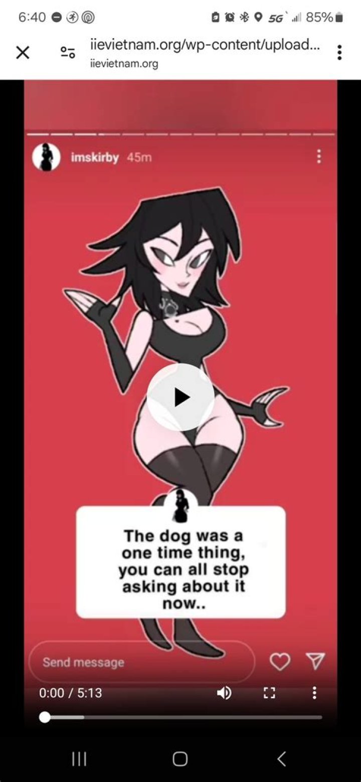 Everything You Need to Know About Imskirby Dog: The Ultimate Companion Breed