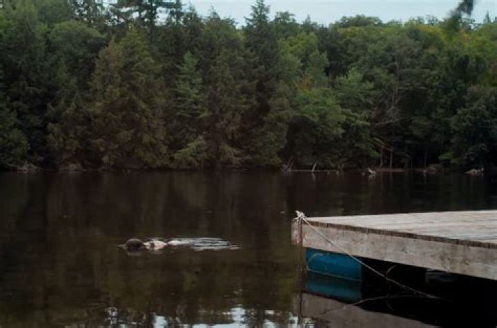 In a Violent Nature Cliff Scene: Exploring the Power of Nature and Human Emotion