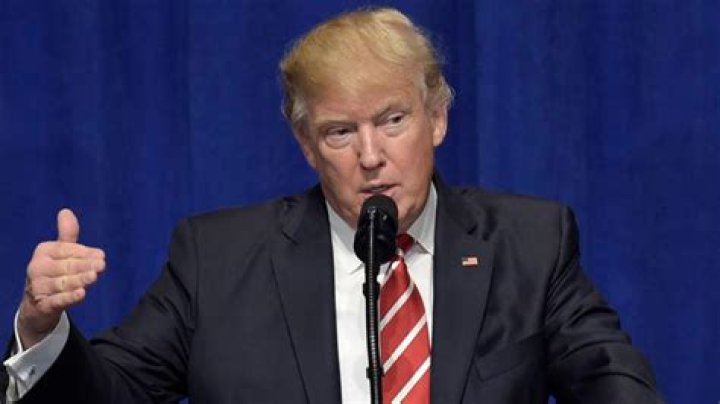 Is Jessica Tarlov Voting for Trump? Exploring Her Political Stance