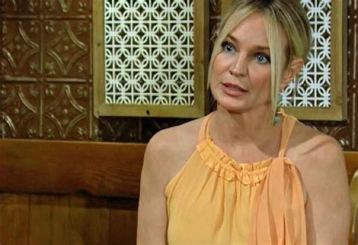 Is Sharon Case Leaving Young and the Restless? The Future of an Iconic Character