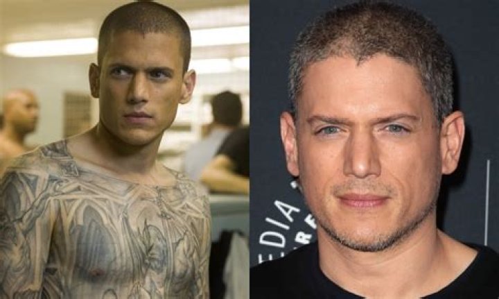 Is Wentworth Miller Gay? A Deep Dive into the Actor's Personal Life