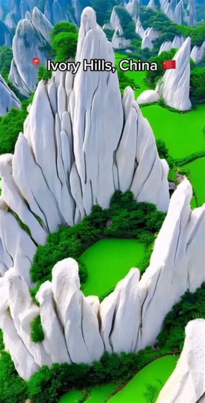 Ivory Hills Japa: A Comprehensive Guide to the Hidden Gem