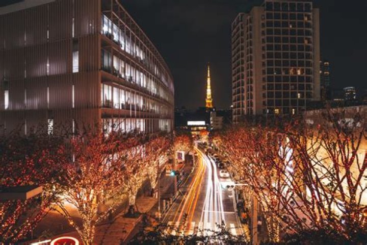 Ivory Hills Tokyo: A Premier Destination for Luxury Living in Japan
