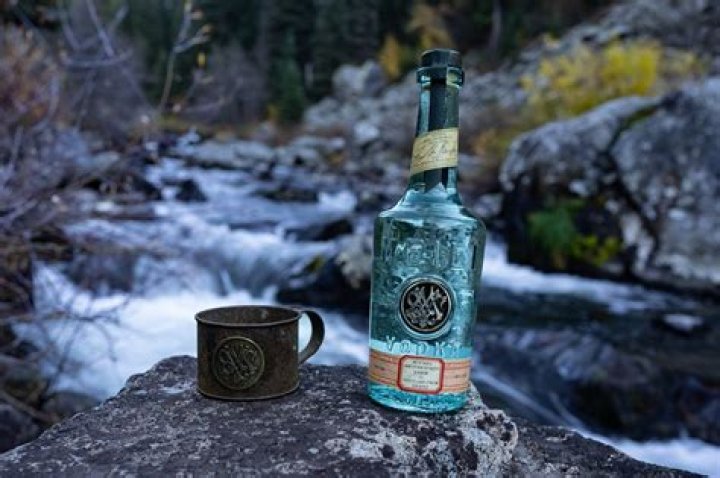 Jason Momoa Vodka: The Rise of Aquaman's Favorite Spirit