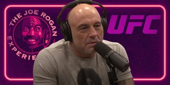 Exploring the Dynamic Exchange: The Joe Rogan Diddy Podcast