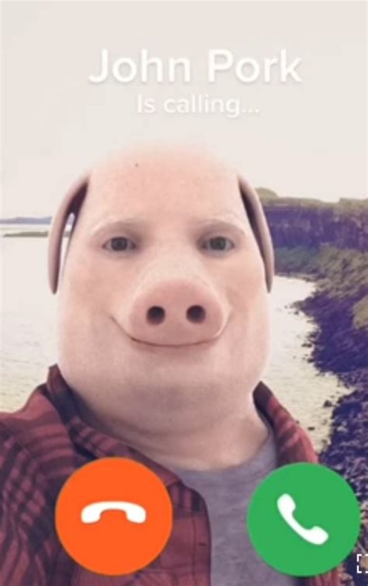 Exploring the John Pork Meme: A Cultural Phenomenon