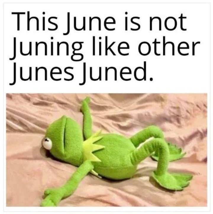 Exploring the Fun and Creativity of June Work Memes
