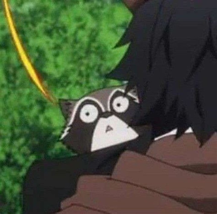 Unveiling the Legacy of Karl BSD: A Multifaceted Journey