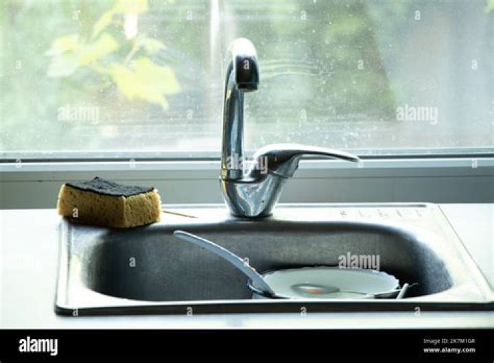 Exploring the Depths of the Kitchen Sink Song