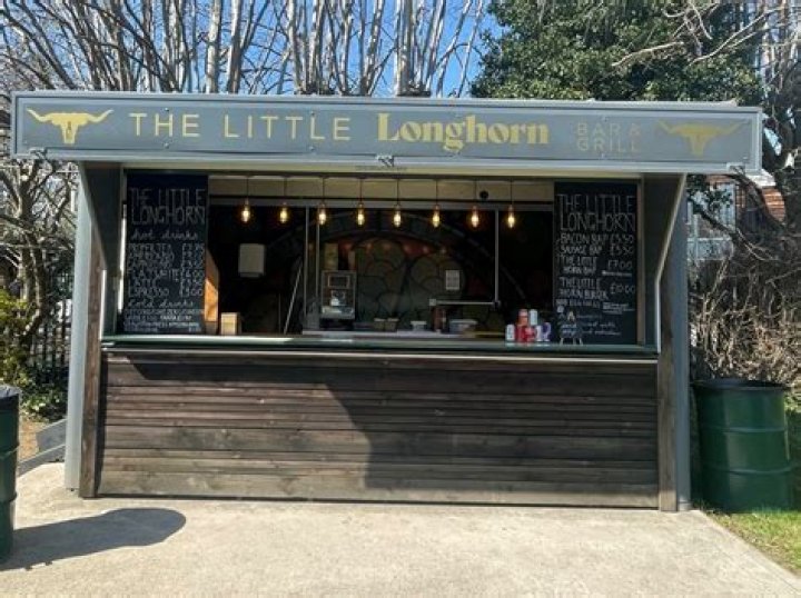 Discovering the Little Longhorn: A Journey into its Charm