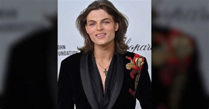 Unveiling Liz Hurley's Son: A Deep Dive into His Life and Background