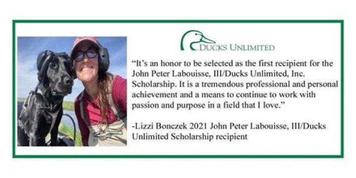 Lizz Bonczek: Expert Advice & Insights