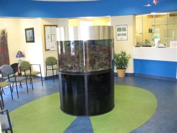 Discovering Long Pond Pediatrics: Caring for Your Child's Health