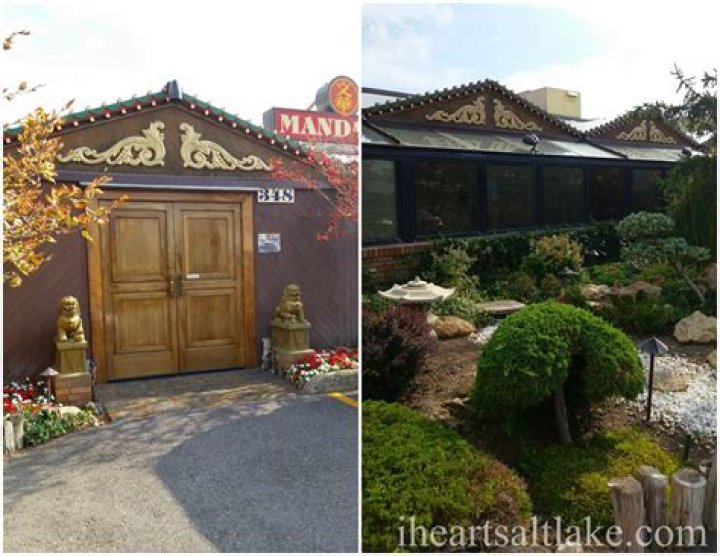 Discovering the Mandarin Bountiful: A Citrus Delight