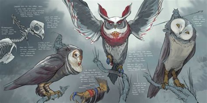 Manga Owl: The Ultimate Destination for Manga Enthusiasts