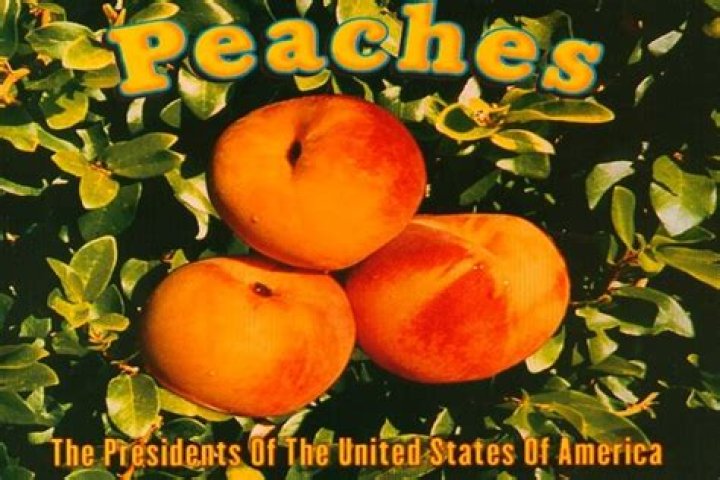 Exploring the Iconic Song "Millions of Peaches": A Deep Dive