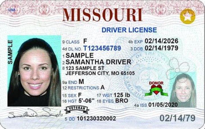 Missouri ID: Application & Renewal Guide