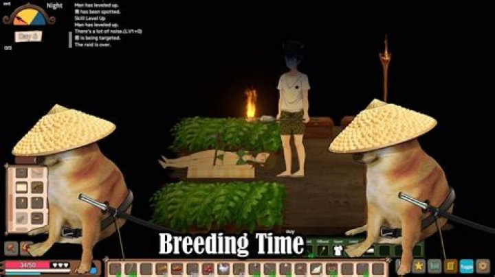 Unveiling the World of Mods for Mad Island: Your Ultimate Guide