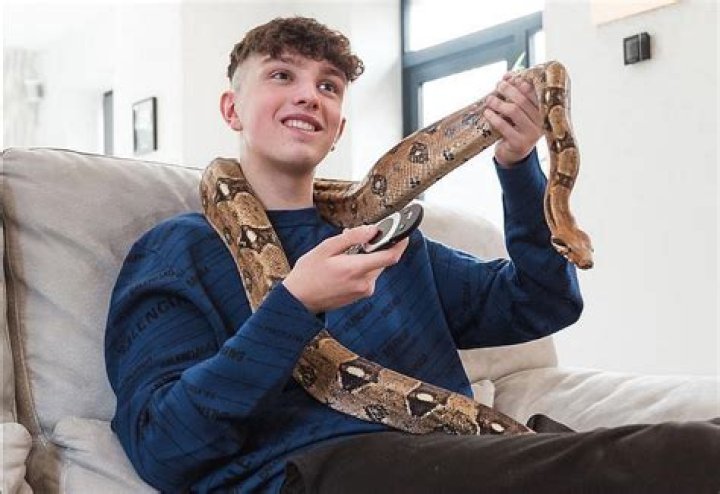 Understanding Morgz Net Worth and His Rise to Fame