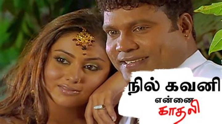 Moveruls: Your Ultimate Guide to Mastering the Art of Moving