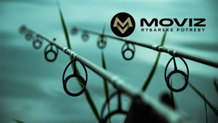 Moviz Rules: The Ultimate Guide to Navigating Movie Streaming Platforms