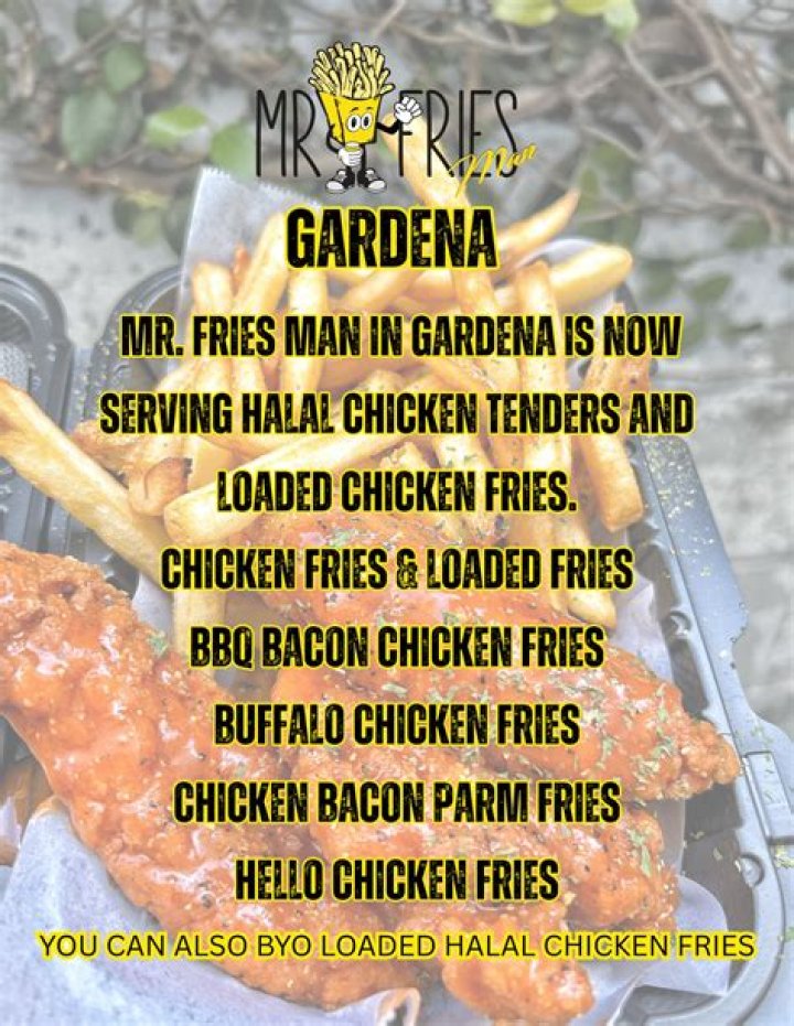 Discovering the Flavorful World of Mr Fries in Gardena