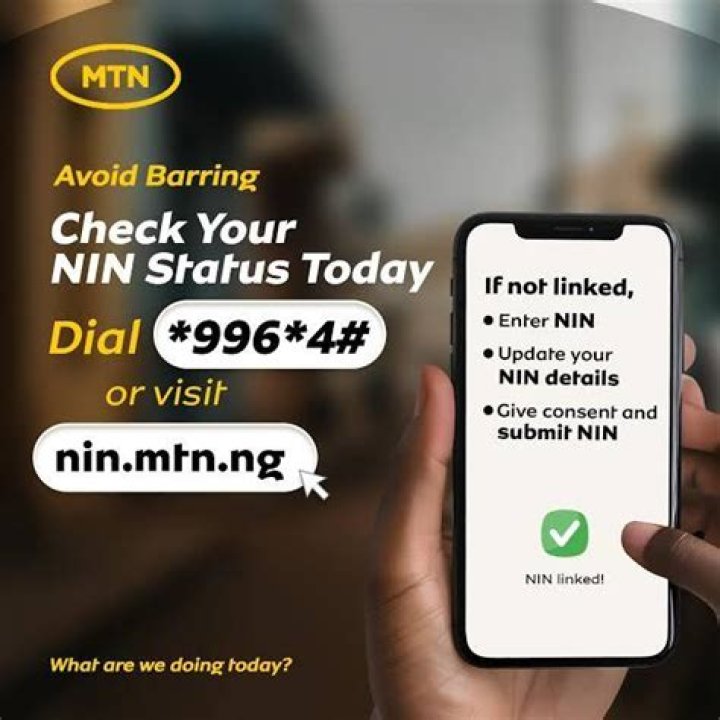 Nin Status: Understanding the Concept and Its Implications