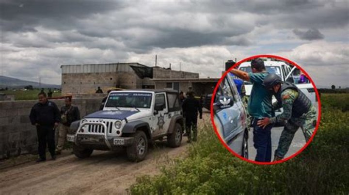 No Me Pises Pa Twitter: The Rise of a Viral Sensation