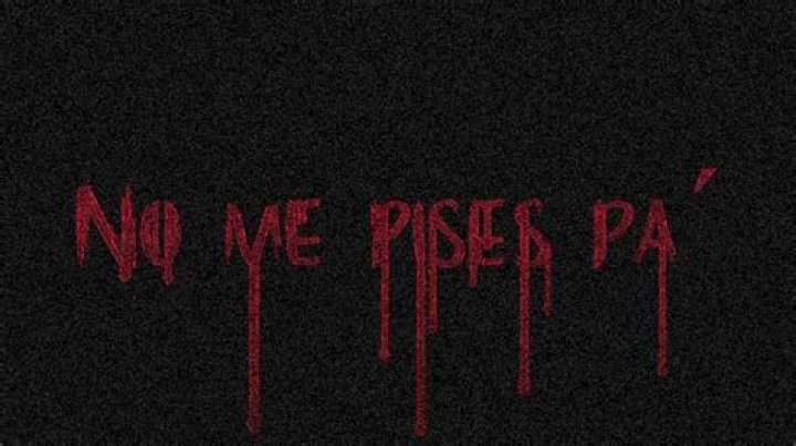 Exploring the Cultural Impact of "No Me Pises Pa X"