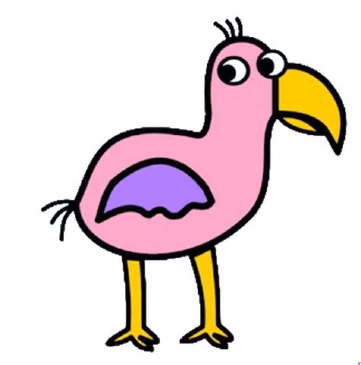 Understanding Opila Birds: A Comprehensive Guide