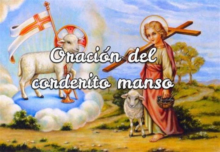 La Oración del Manso Cordero: Un Camino de Fe y Esperanza