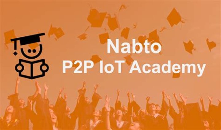 P2P IoT: The Future of Decentralized Connectivity