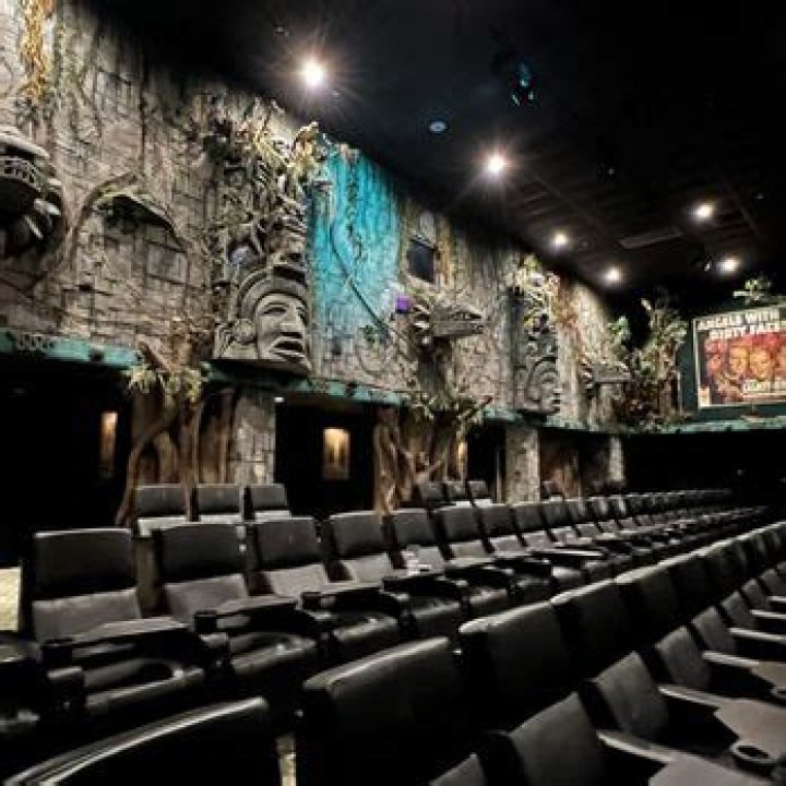 Experience the Magic of Movies at Palms Cinema Naperville IL
