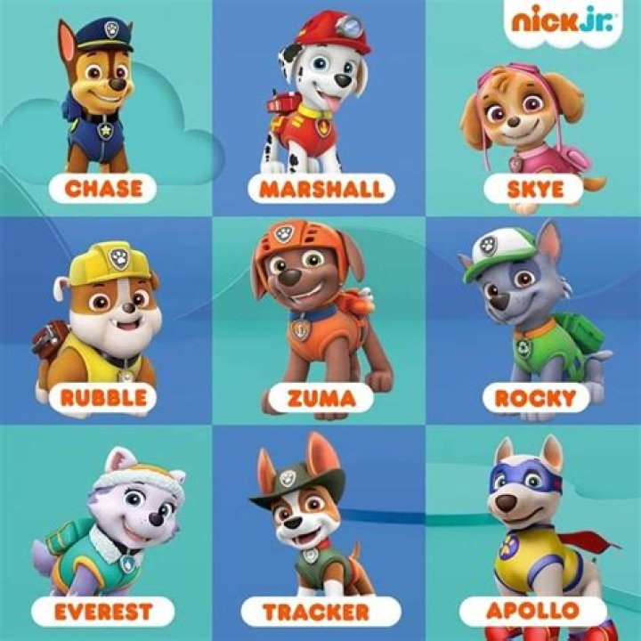 Paw Patrol Names: Meet the Brave Pups of Adventure Bay