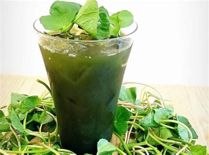 Delightful and Refreshing: Dive into the World of Pennywort Drink