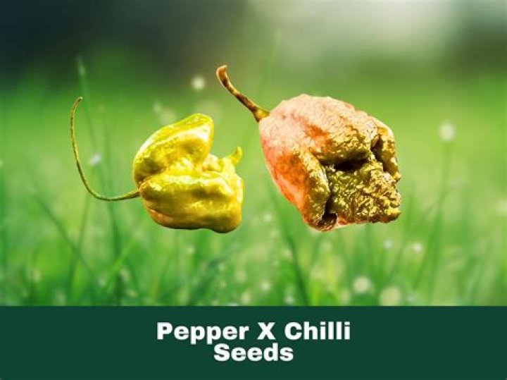 Pepper X Seeds: The Hottest New Pepper Variety You Need to Know
