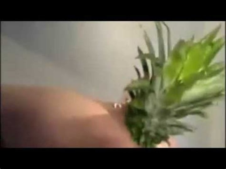 Unveiling the Mystery Behind Pineapple Brat Leaked Nudes