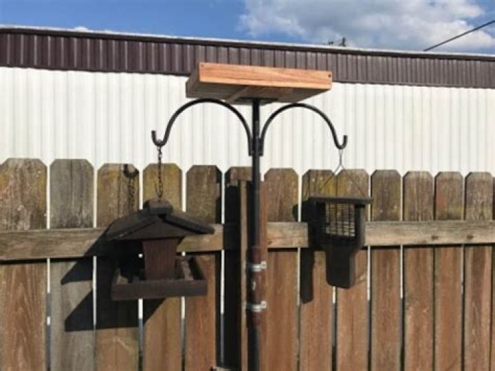 Platform Bird Feeder with Pole: The Ultimate Guide for Bird Enthusiasts