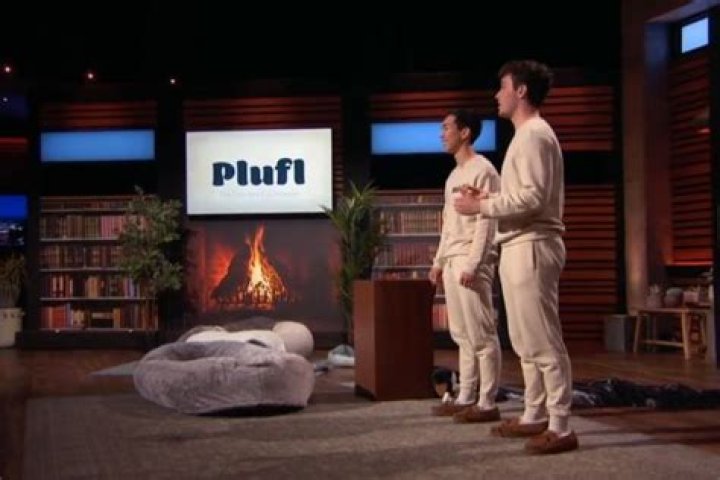 Plufl Net Worth: Revealing the Financial Landscape